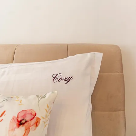 Cozy Brand New Boutique 4* براشوف