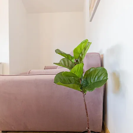 Cozy Brand New Boutique شقة فندقية براشوف