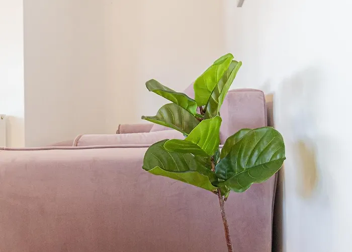 Brand New Boutique Aparthotel Brasov